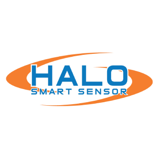 Halo Security Solutions Partners